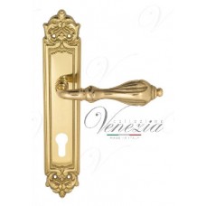 Ручка дверная на планке под цилиндр Venezia Anafesto CYL PL96 полированная латунь