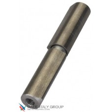 Петля приварная для металлических дверей, ALDEGHI d22x25мм ALD069
